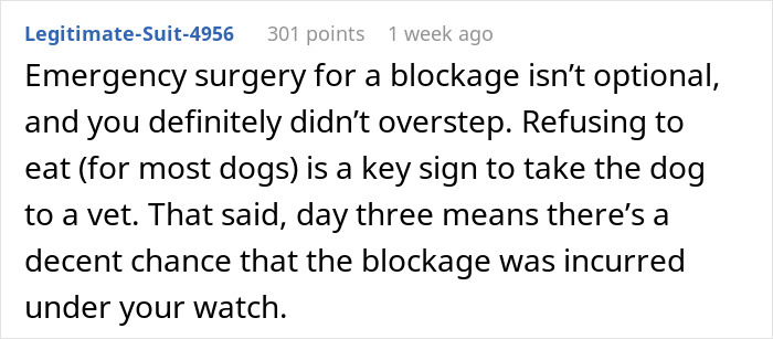 Text from a forum user discussing an expensive vet visit for a pet with a blockage.