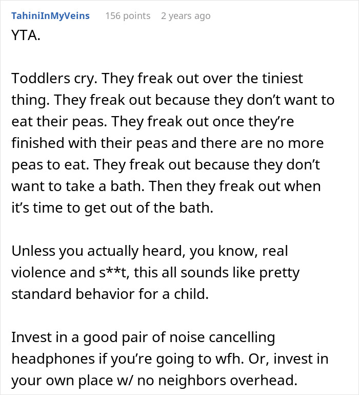 Text post criticizing someone for calling CPS over toddler tantrums, suggesting noise-canceling headphones instead.