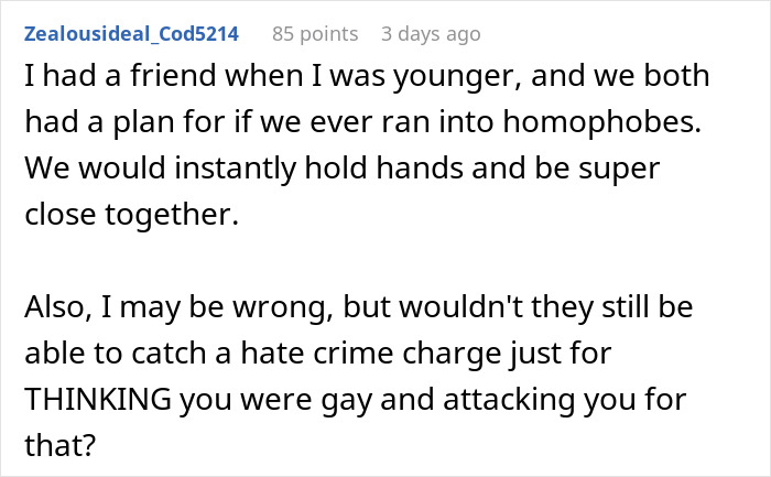 Reddit comment discussing a humorous plan against homophobes and the potential for hate crime charges.