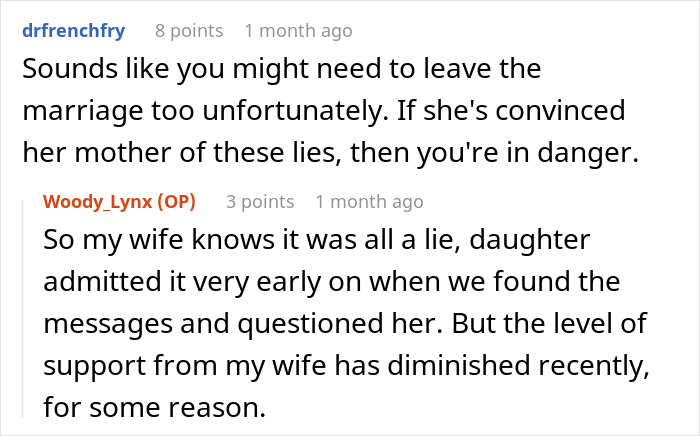 Reddit comment thread discussing stepdaughter's lies affecting family dynamics.