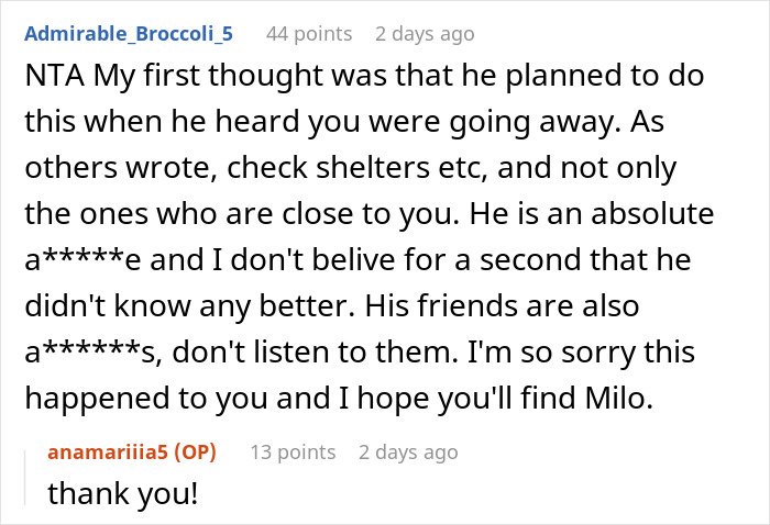 Reddit comments discussing a woman's lost dog and her boyfriend's excuse.