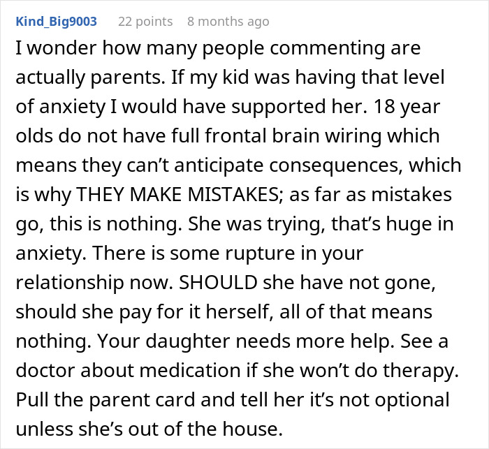 Text comment discussing a parent's role in supporting an anxious daughter after a road trip.