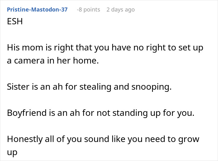 Text comment discussing setting up a camera and issues of stealing and snooping.