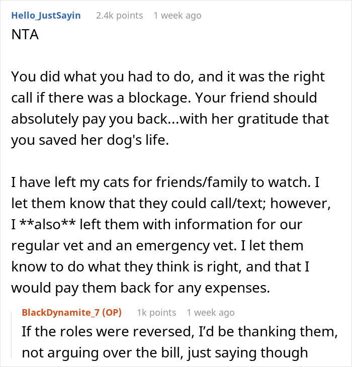 Reddit comment thread discussing woman upset after friend takes her dog to an expensive vet during pet-sitting.