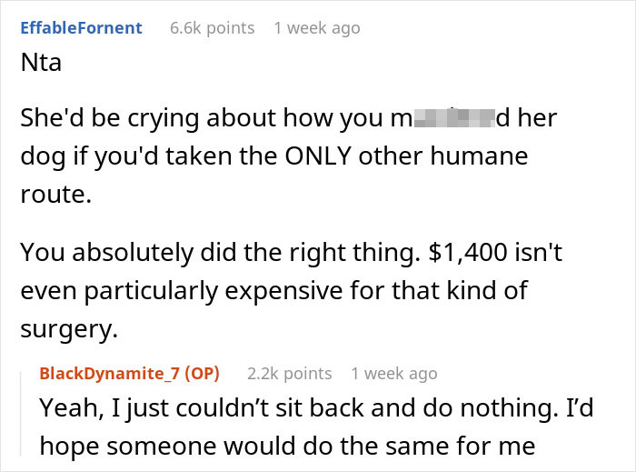 Reddit post discussing the decision to take a friend's dog to an expensive vet while pet sitting.