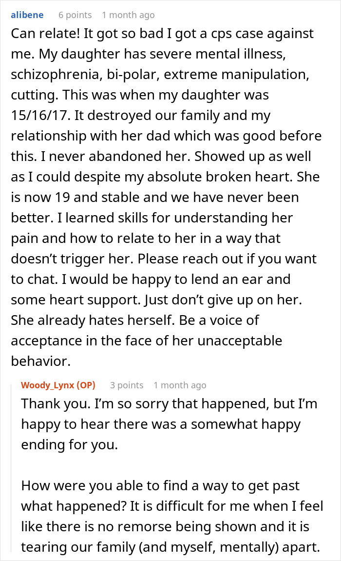 Reddit conversation about a stepdaughter's pathological lies affecting family dynamics.