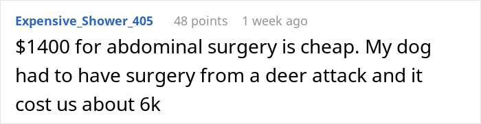 Comment discussing vet costs for dog surgery after a deer attack.