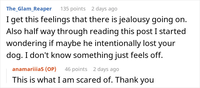 Reddit comments discussing suspicion about a lost dog involving jealousy and fear.