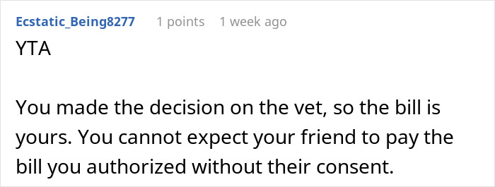 Comment discussing responsibility for an expensive vet bill during pet sitting.