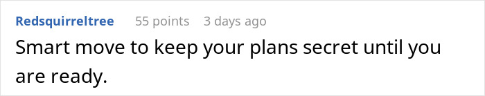 Reddit comment on marriage advice discussing secret plans and timing.