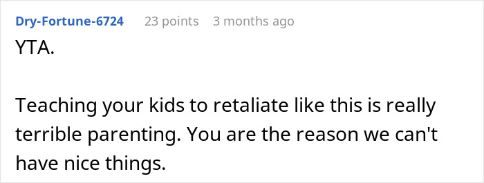 Reddit comment criticizing parenting choices related to kids looting brother's house.