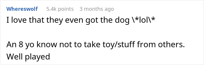 Reddit comment discussing kids looting a house humorously, mentioning a dog and toys.