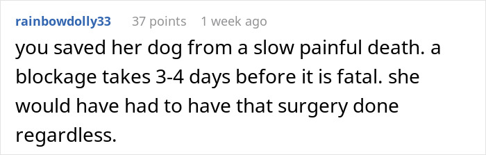 Comment on vet advice about dog surgery and blockage.