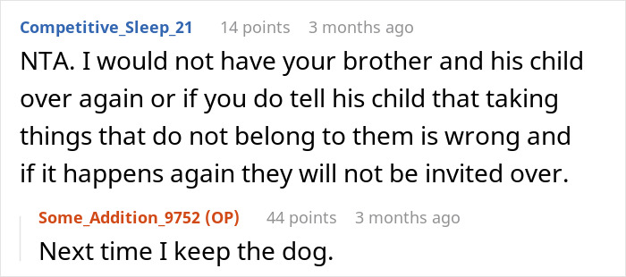 Reddit comment emphasizing boundaries with brother's child; response mentions keeping the dog.