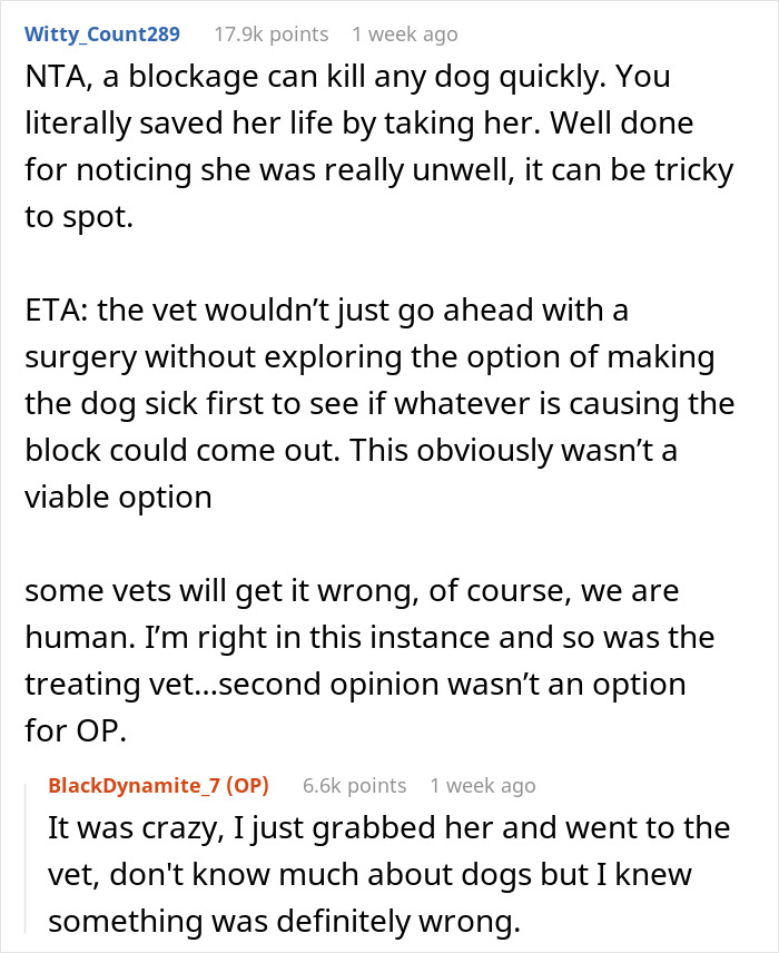 Reddit comments discussing a woman’s decision to take a friend’s dog to an expensive vet while pet sitting.