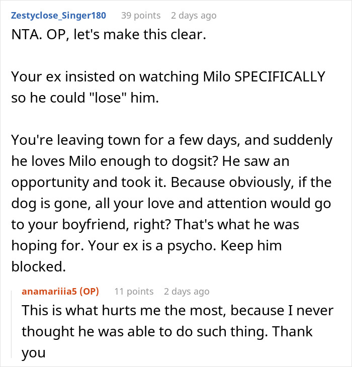 Reddit comments discussing a woman's nightmare trip after her dog gets lost by her boyfriend.