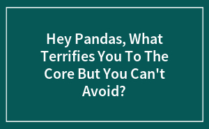 Hey Pandas, What Terrifies You To The Core But You Can't Avoid?