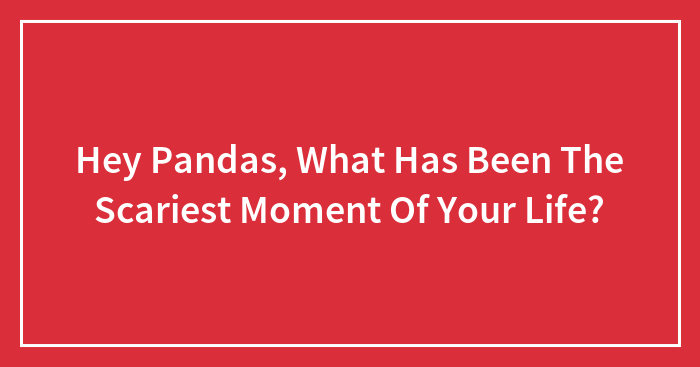 Hey Pandas, What Has Been The Scariest Moment Of Your Life? (Closed)