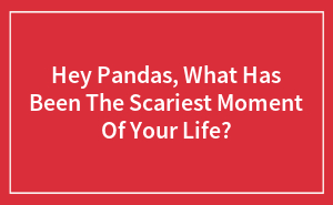 Hey Pandas, What Has Been The Scariest Moment Of Your Life?