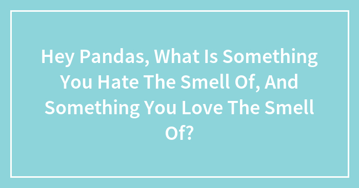 Hey Pandas, What Is Something You Hate The Smell Of, And Something You Love The Smell Of?