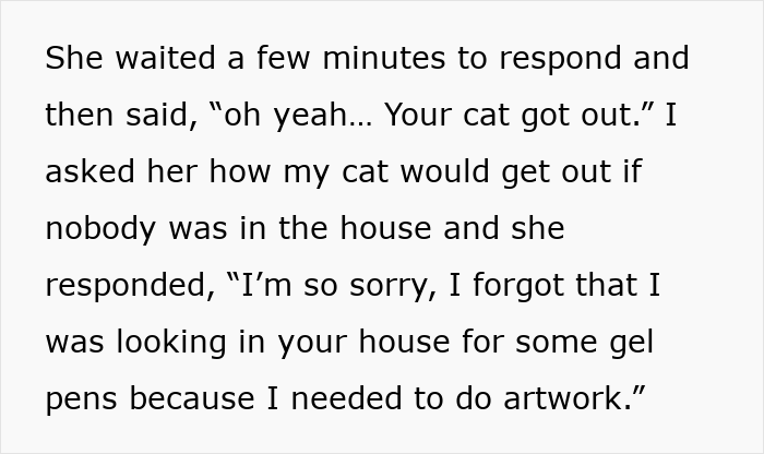 Friend admits entering house for art supplies, causing a cat to escape.