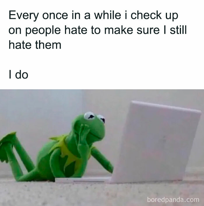 Kermit the Frog looking at a laptop screen, reflecting modern dating humor in your 30s.