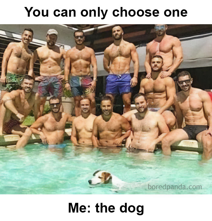 Shirtless men posing by a pool with a dog swimming, humor about dating in your 30s.