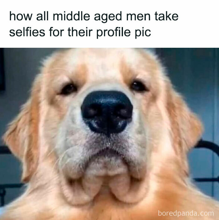 Golden retriever close-up with text humor about Tinder selfies in 30s.