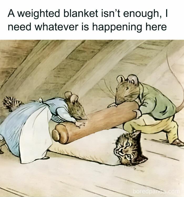 Mice wrapping a cat tightly, with text humor for women about needing more than a weighted blanket.