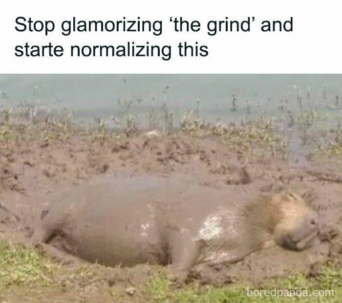 A capybara relaxing in the mud, humor for women, with text about normalizing rest over "the grind."