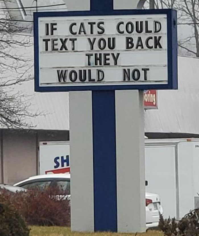 Frente a un hospital veterinario