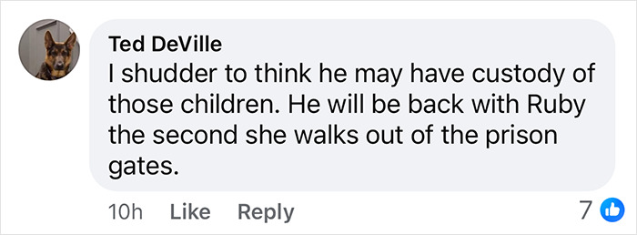 Comment discussing custody concerns related to momfluencer abuser Ruby Franke.