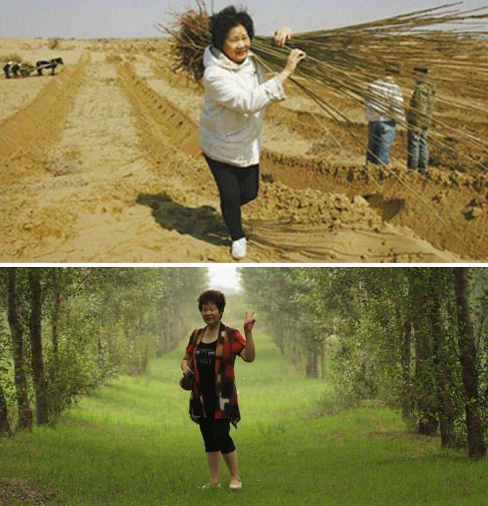 Woman planting trees in a desert, later standing in a lush forest, showcasing interesting facts of transformation.