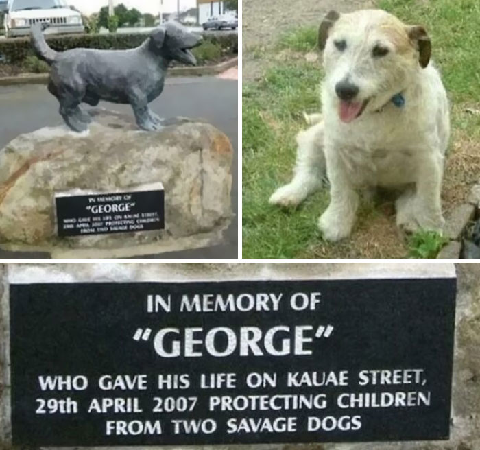 Dog statue and memorial plaque honoring heroism, showcasing one of the most interesting facts about George the dog.