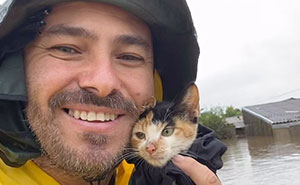 The Hero Without A Cape: This Man Has Been Feeding Stray Dogs For 25 Years