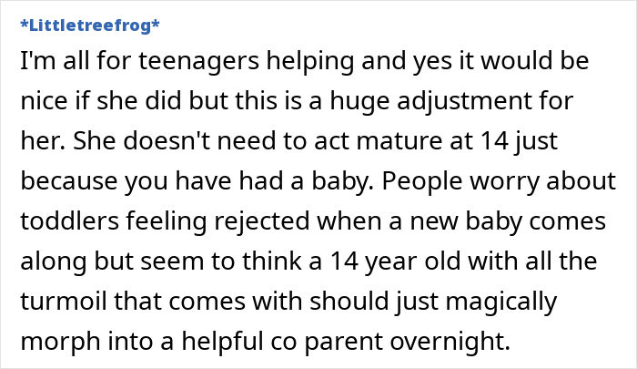 Text discussing a 14-year-old adjusting to life after a new baby, highlighting the pressure to mature quickly.