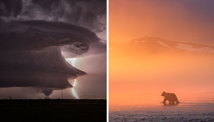 Best Nature Photography Of 2024: International Photo Awards Winners