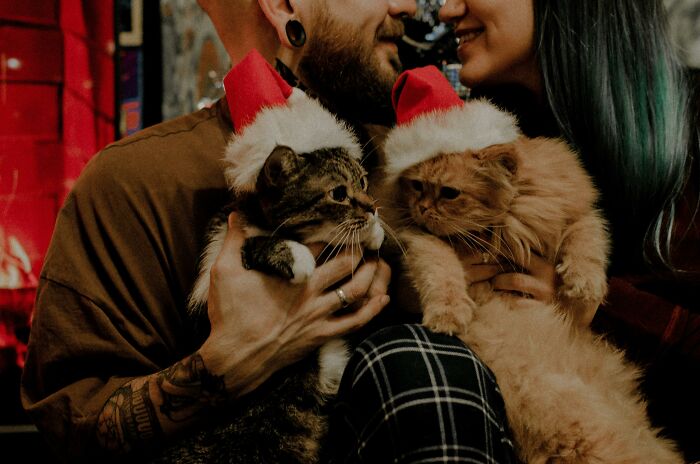 A couple enjoying festive time with their cats, emphasizing the joys of a childfree lifestyle.