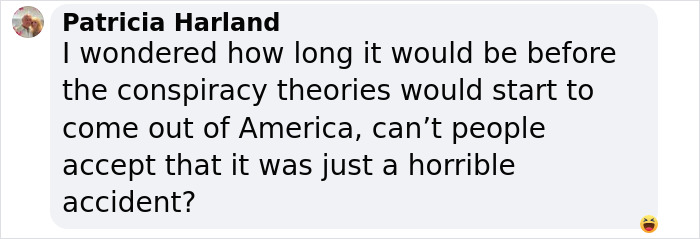 Chat comment questioning conspiracy theories about a DC plane crash.