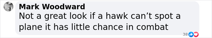 Comment by Mark Woodward discussing Black Hawk and plane detection in combat scenario.