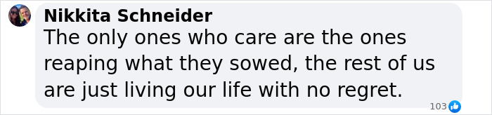 Comment by Nikkita Schneider discussing perspective on life, with a total of 103 reactions.