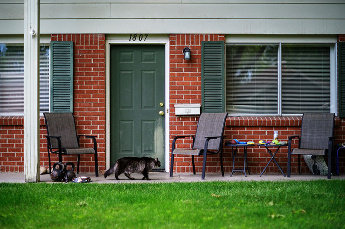 Front porch of a house with two chairs and a black cat, related to breaking into a friend's home story.