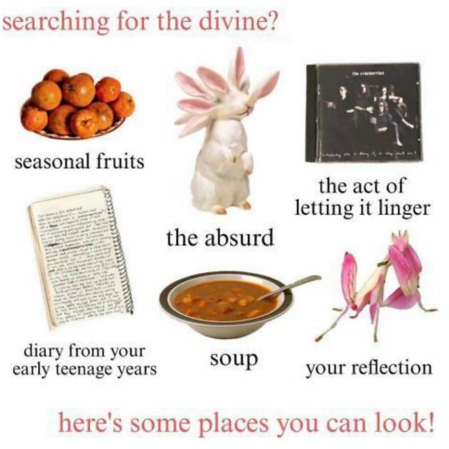 Mental health meme with images of fruits, rabbit, diary, soup, and flowers labeled with humorous captions.