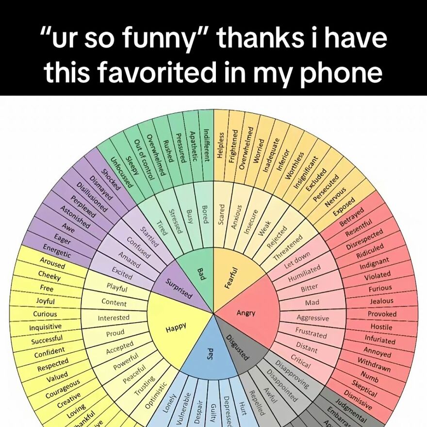 Colorful emotions wheel with text "ur so funny" above, related to mental health memes.