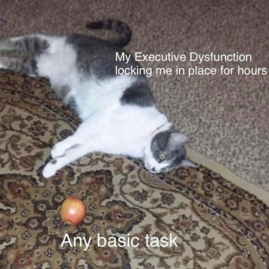 Cat lying on a rug with text about executive dysfunction, capturing a relatable mental health meme.