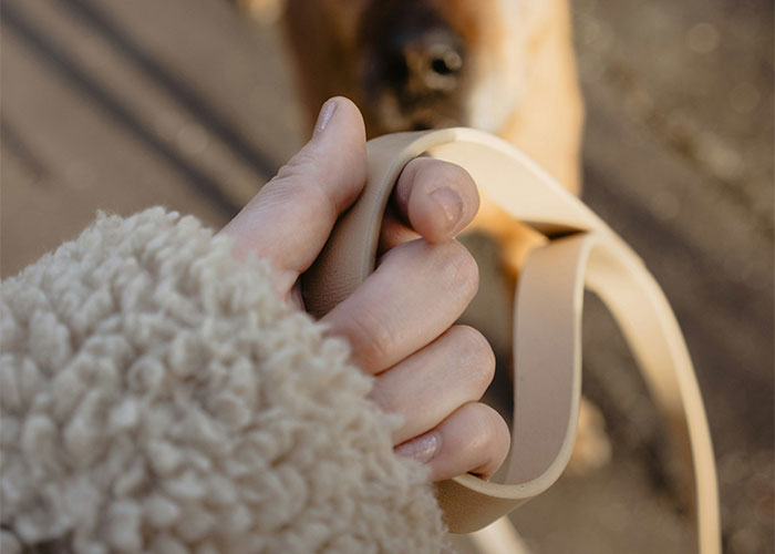 Hand holding a leash, a dog blurred in the background, capturing an unusual moment of punishment.