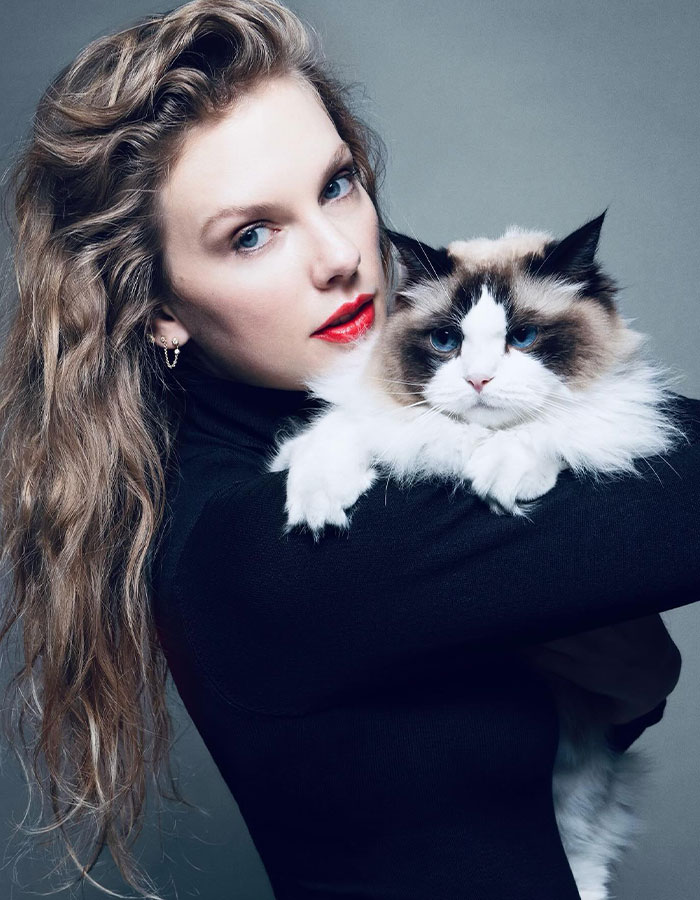 A woman holding a fluffy cat in a studio portrait, highlighting divorce-related emotions.