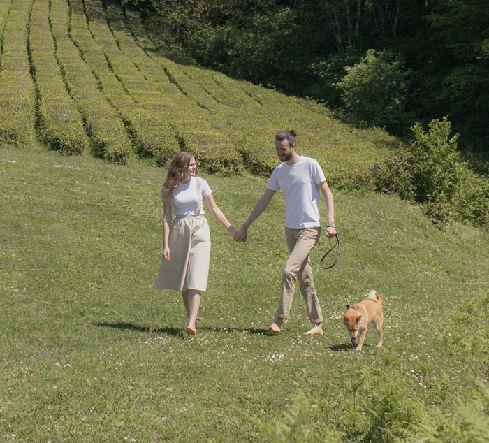 Couple holding hands and walking with a dog in a green field, man holding the leash.