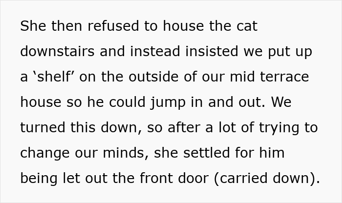 Text about a woman resisting placing the cat downstairs, suggesting a shelf outside for easy access.