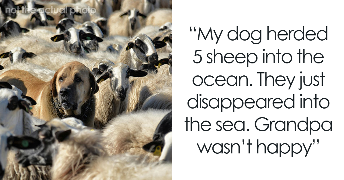 People Share The Worst Thing They’ve Seen Their Pet Do, And Some Are Disturbing